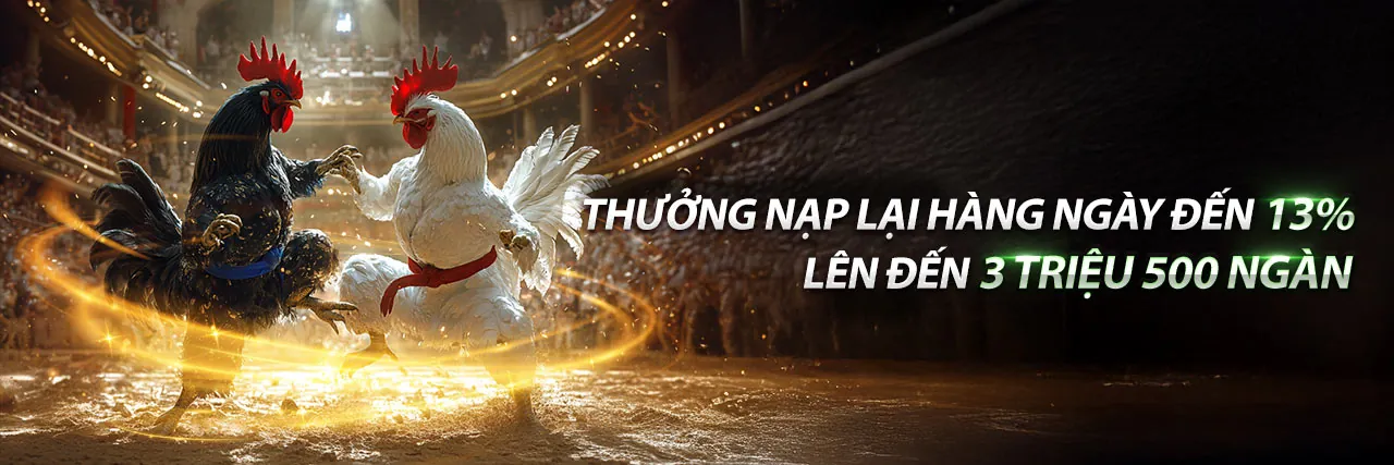 Tin tức 8fbet và các cập nhật mới nhất