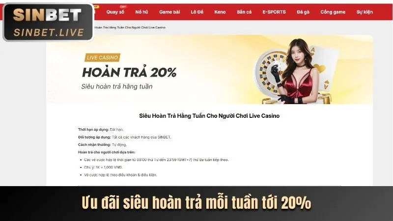 Lý do 8fbet là lựa chọn tốt nhất